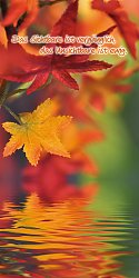 Herbstblätter