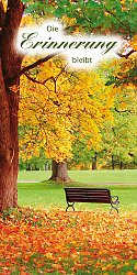 Parkbank im Herbst