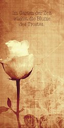 Rose Antique