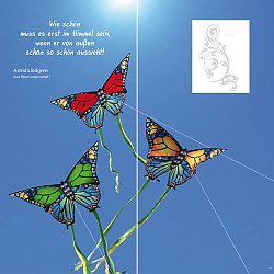 Schmetterlingsvögel DUO