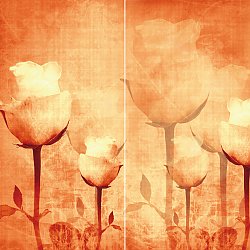 Rose Antique DUO