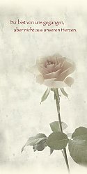 Rose 2