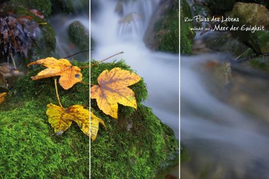 Lebensfluss TRIO © € 885,-