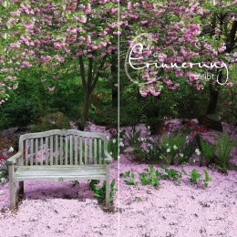 Bank mit Kirschblüten DUO