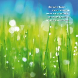 Gräser im Licht DUO © € 980,-