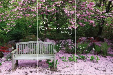 Bank mit Kirschblüten TRIO