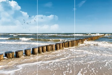 Meer mit Möwen TRIO