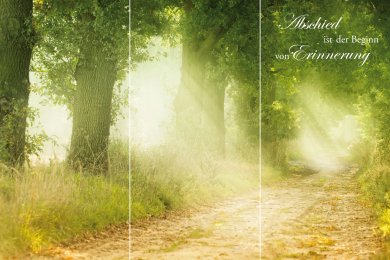 Sommerwaldweg TRIO © € 1470,-