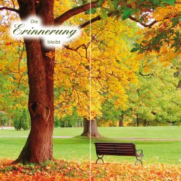 Parkbank im Herbst DUO