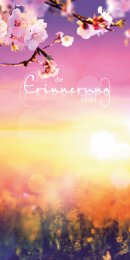 Kirschblüte im Sonnenlicht