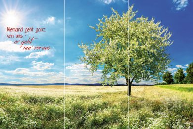 Frühlingswiese TRIO