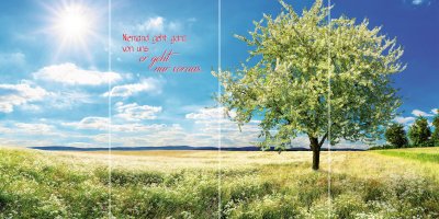 Frühlingswiese QUADRO