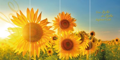 Sonnenblumen QUADRO