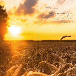 Ähren im Sonnenuntergang DUO