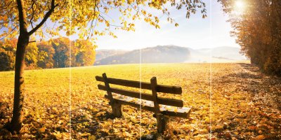 Herbstbank QUADRO