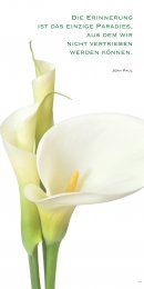 Calla 3 © € 490,-