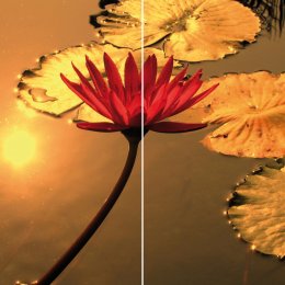 Rote Seerose DUO © € 980,-