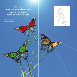 Schmetterlingsvögel DUO